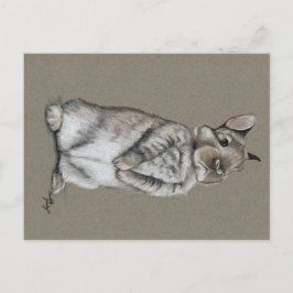 Sitta Bunny Rabbit Art Postcard Vykort