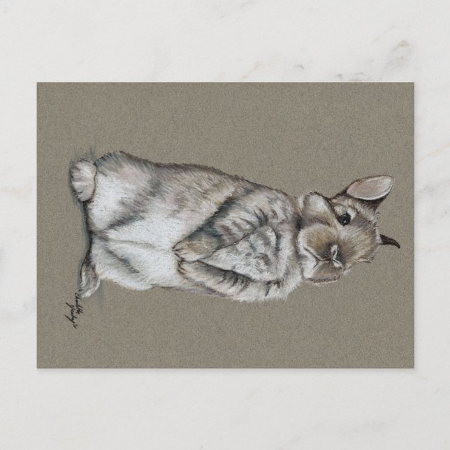 Sitta Bunny Rabbit Art Postcard Vykort (Framsida)