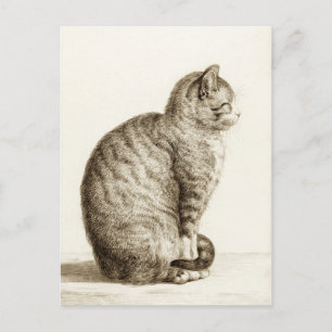 Sitta cat - Jean Bernard Vykort