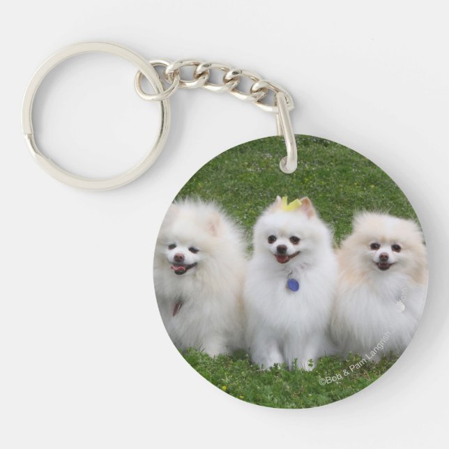 Sitta för 3 Pomeranians (Framsidan)