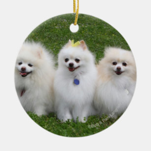 Sitta för 3 Pomeranians Julgransprydnad Keramik