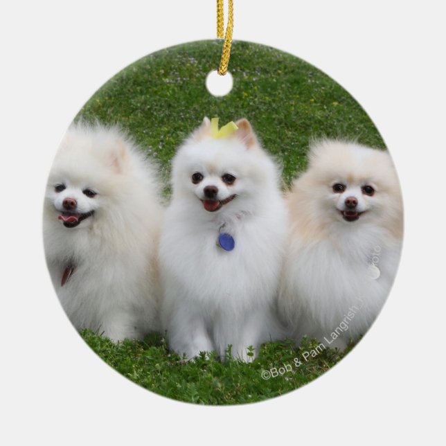 Sitta för 3 Pomeranians Julgransprydnad Keramik (Framsidan)
