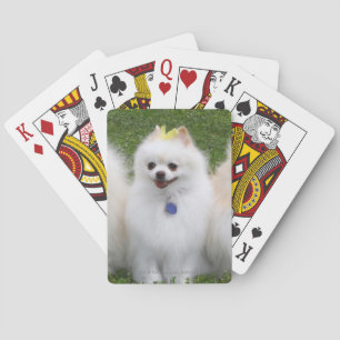 Sitta för 3 Pomeranians Kortlek