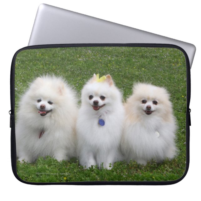 Sitta för 3 Pomeranians Laptop Sleeve (Framsidan)