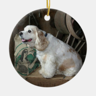 sitta för amerikancockerspanielspaniel julgransprydnad keramik