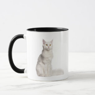 Sitta för Maine Coon (8 gammala månader) Mugg