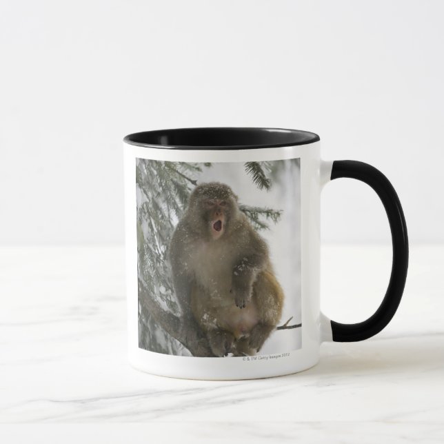Sitta för rhesusapaMacaqueapa (Macacamulatta) Mugg (Höger)