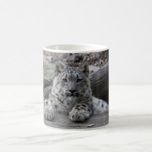 Sitta för unge för snöLeopard Kaffemugg