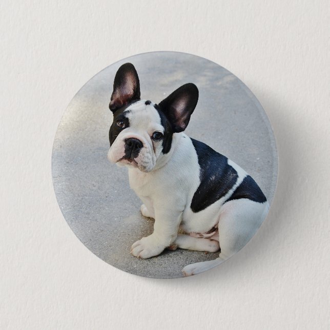 sitta fransk bulldog knapp (Framsida)