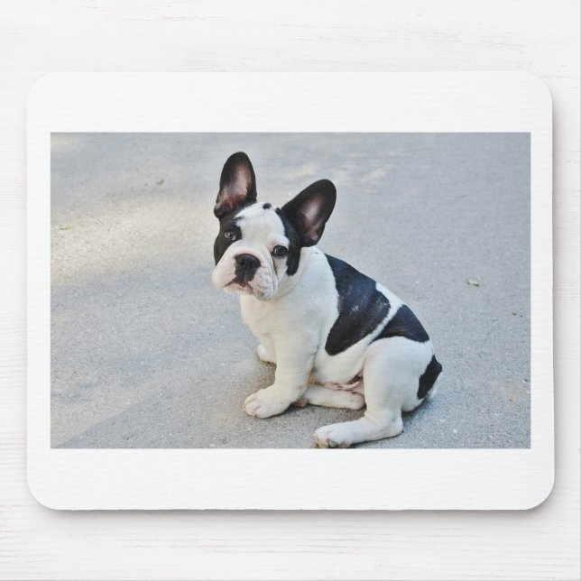 sitta fransk bulldog musmatta (Framsidan)