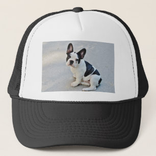 sitta fransk bulldog truckerkeps