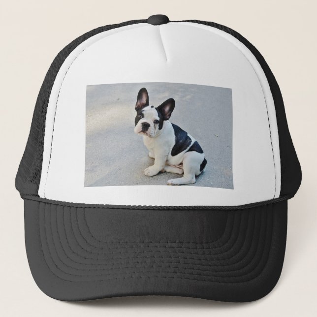 sitta fransk bulldog truckerkeps (Framsida)