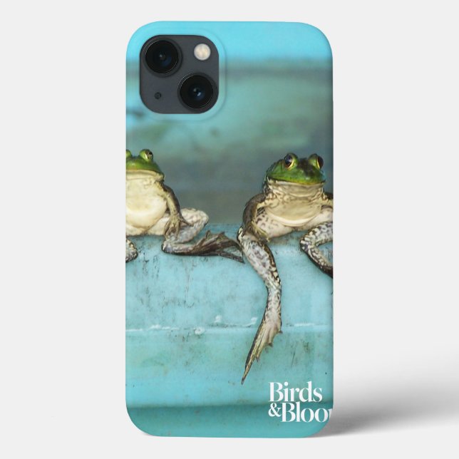 Sitta Frogs (Baksida)