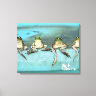 Sitta Frogs Canvastryck