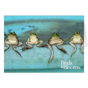 Sitta Frogs Hälsningskort