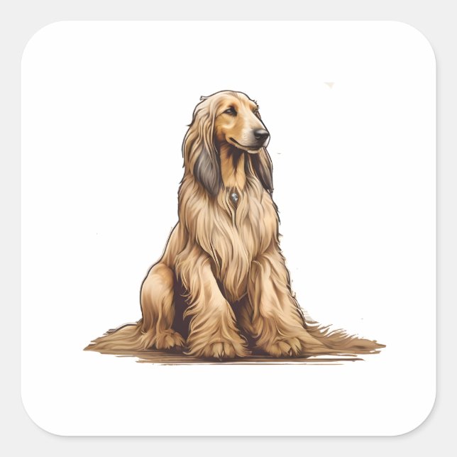 Sitta golden afghan hound fyrkantigt klistermärke (Framsida)