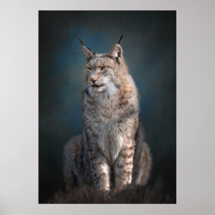 Sitta iberisk lynx poster
