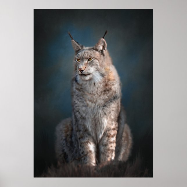 Sitta iberisk lynx poster (Framsidan)