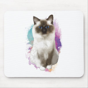 Sitta katt musmatta