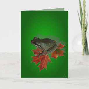 Sitta On Löv Card Kort
