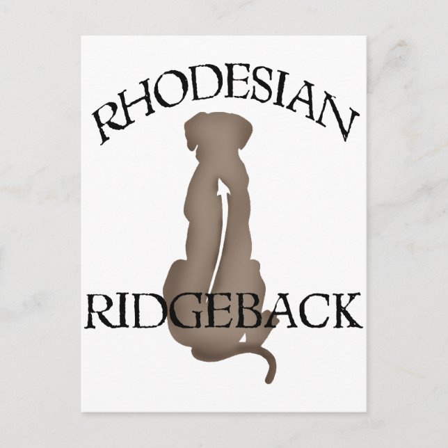 Sitta Rhodesian Ridgeback w/ Text Vykort (Framsida)