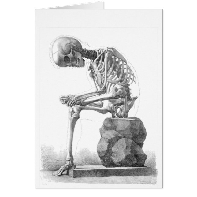 Sitta Skeleton OBS Kort (Framsidan)