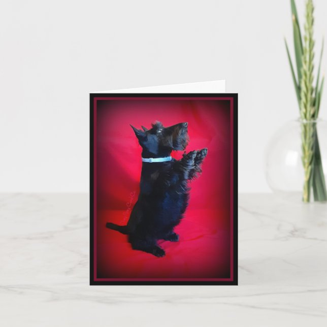 Sitta Söt Anteckningskort (Framsida)