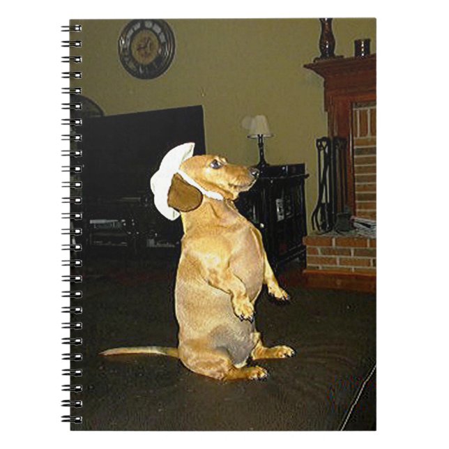 Sitta Söt Dachshund bärbar dator Anteckningsbok Med Spiral (Framsidan)