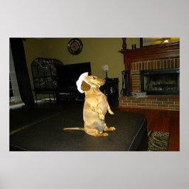 Sitta Söt Dachshund Framed Poster