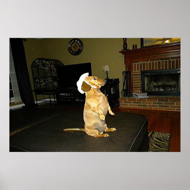 Sitta Söt Dachshund Framed Poster (Framsidan)