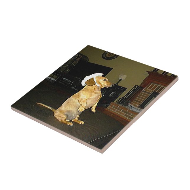 Sitta Söt Dachshund Tile Kakelplatta (Sidan)