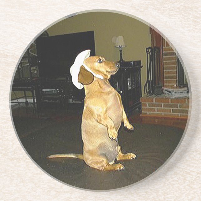 Sitta Söt Dachshund Underlägg (Framsidan)