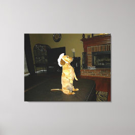Sitta Söt eller TV Dachshund Canvas