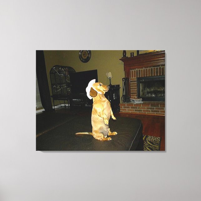 Sitta Söt eller TV Dachshund Canvas (Framsida)