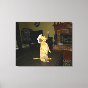 Sitta Söt eller TV Dachshund Canvas