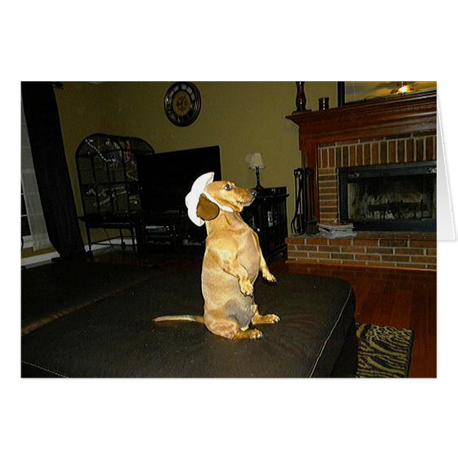 Sitta Söt eller TV Dachshund Hälsningskort (Framsidan Horizontal)