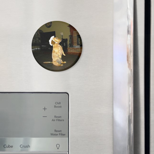 Sitta Söt eller TV Dachshund Magnet (In Situ (Fridge))