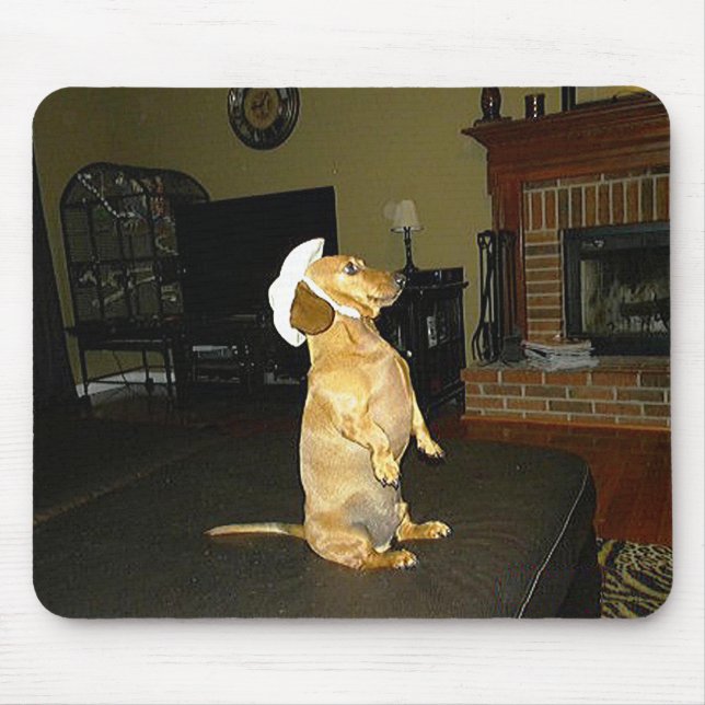 Sitta Söt eller TV Dachshund Musmatta (Framsidan)