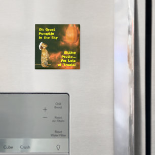 Sitta Söt för många slag Magnet