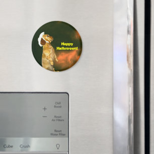 Sitta Söt för många slag Magnet