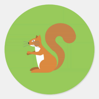 Sitta Squirrel Runt Klistermärke