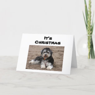 SITTA TÄNKER PÅ DIG I CHRISTMAS KORT