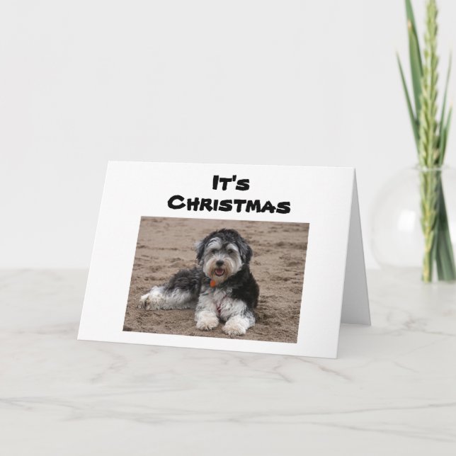 SITTA TÄNKER PÅ DIG I CHRISTMAS KORT (Framsida)