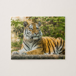Sitta Tiger Jigszle Puzzle Pussel