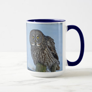 Sitta Underbar Grått Uggla och Snö Wildlife Raptor Mugg