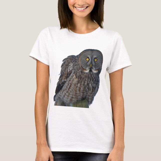Sitta Underbara Grått Uggla Raptor Wildlife Photo Tee (Framsida)