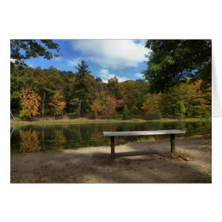 Sitta vid Rockwell Park Bristol CT Hälsningskort