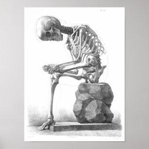Sitta vintage - tankutskrift för skelett poster