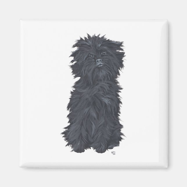 Sittande Affenpinscher Magnet (Framsidan)