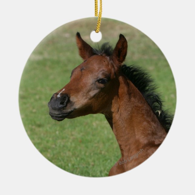 Sittande arabiskt föl julgransprydnad keramik (Framsidan)